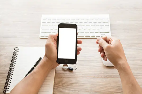 蔬菜加工企业怎么缴税